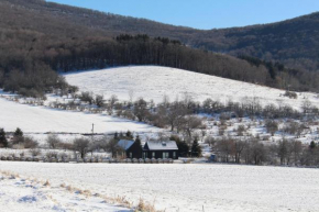 Endless Meadow House